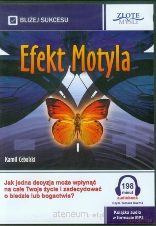 Efekt Motyla - Kamil Cebulski [AUDIOBOOK]
