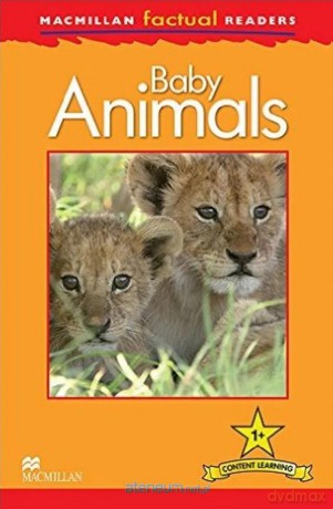 Factual: Baby Animals 1+ - Thea Feldman [KSIĄŻKA]