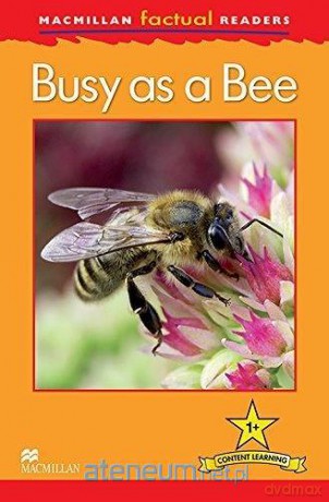 Factual: Busy as a Bee 1+ - Louise P. Caroll [KSIĄŻKA]
