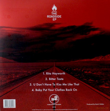 Billy Idol: The Roadside [Winyl]
