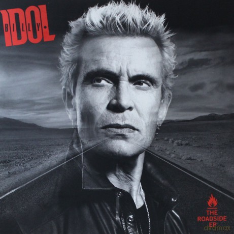 Billy Idol: The Roadside [Winyl]