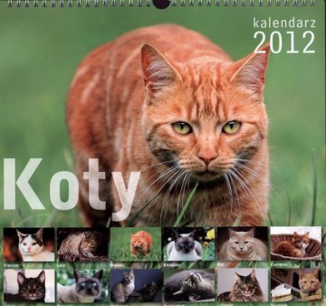 2012 Kal. Ścienny Koty [KSIĄŻKA]