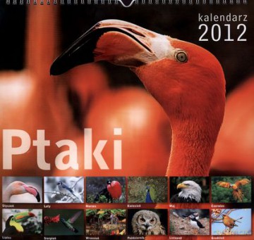 2012 Kal. Ścienny Ptaki [KSIĄŻKA]