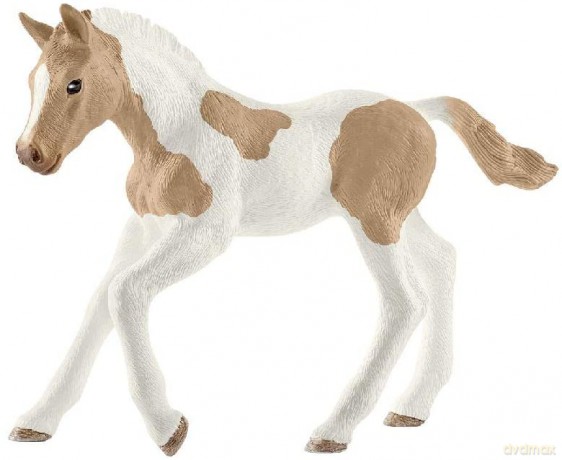 Koń Paint Horse Źrebię [FIGURKA]