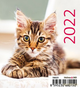 Kalendarz 2022 Biurkowy Mini. Kotki [KALENDARZ]