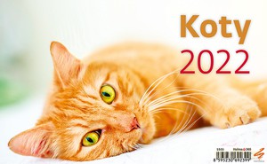 Kalendarz 2022 Biurkowy. Koty [KALENDARZ]