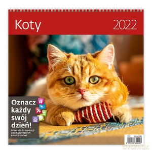 Kalendarz 30 x 30 z naklejkami. Koty 2022 [KALENDARZ]