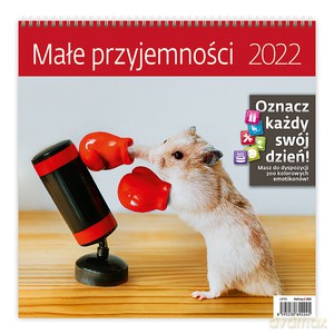 Kalendarz 30 x 30 z naklejkami. Małe przyjemności 2022 [KALENDARZ]