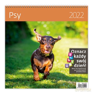 Kalendarz 30 x 30 z naklejkami. Psy 2022 [KALENDARZ]
