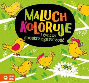 Maluch koloruje i ćwiczy spostrzegawczość [KSIĄŻKA]