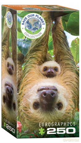 EUROGRAPHICS 250 el. Sloths 8251-5556 [PUZZLE]