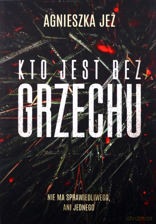 Kto jest bez grzechu - Agnieszka Jeż [KSIĄŻKA]