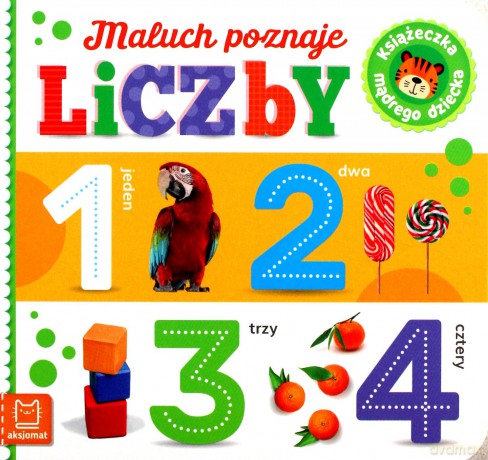 Maluch poznaje liczby. Książeczka mądrego dziecka [KSIĄŻKA]