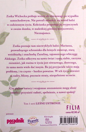 Warkocz spleciony z kwiatów - Agnieszka Krawczyk [KSIĄŻKA]