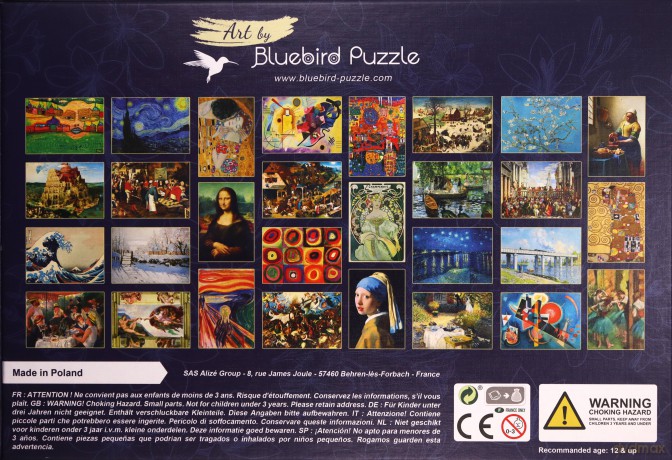 BLUEBIRD 1000 el. Dwie samotne osoby [PUZZLE]