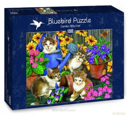 BLUEBIRD 1000 el. Małe kotki w ogrodzie [PUZZLE]