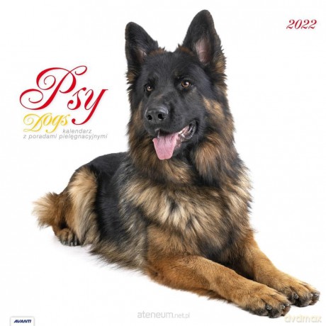 Kalendarz 2022 KAD-10 Psy [KALENDARZ]
