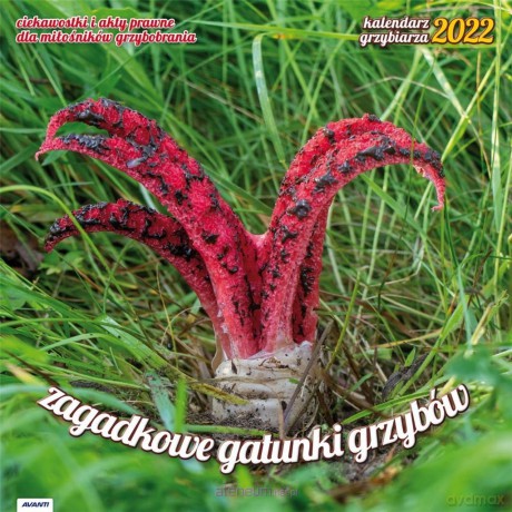 Kalendarz 2022 KAD-6 Grzybiarza z poradami [KALENDARZ]
