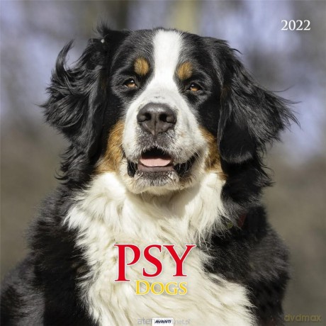 Kalendarz 2022 KD-20 Psy [KALENDARZ]