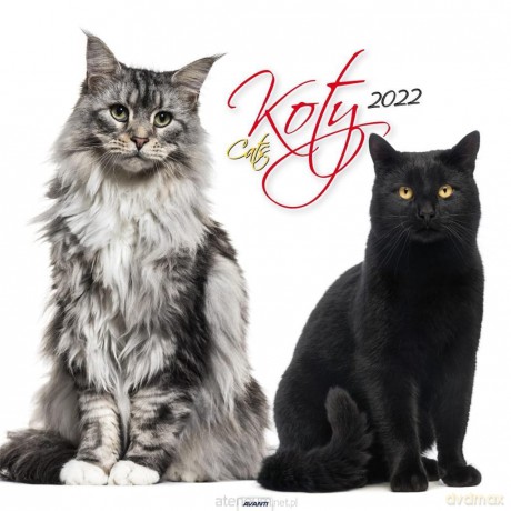 Kalendarz 2022 KD-21 Koty [KALENDARZ]