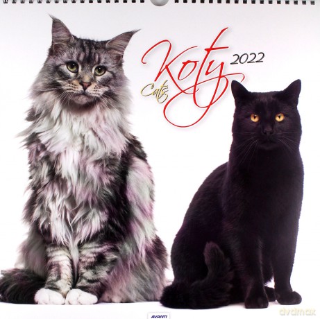 Kalendarz 2022 KD-21 Koty [KALENDARZ]