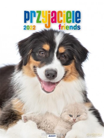 Kalendarz 2022 KSM-7 Przyjaciele [KALENDARZ]