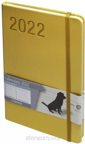 Kalendarz 2022 Minimalizm A5 złoy [KALENDARZ]
