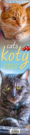 Kalendarz 2022 Paskowy - Koty PP [KALENDARZ]