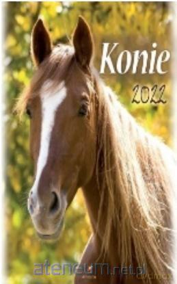 Kalendarz 2022 Ścienny Konie [KALENDARZ]