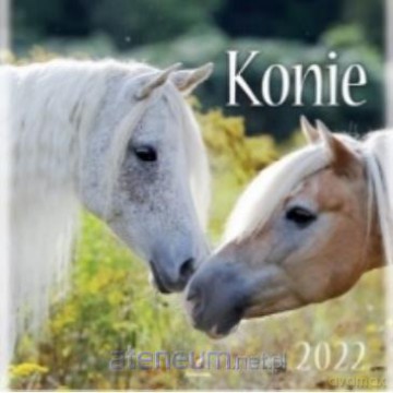 Kalendarz 2022 Ścienny Konie [KALENDARZ]