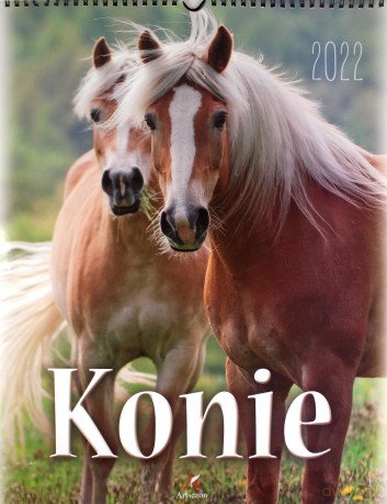 Kalendarz 2022 Ścienny Konie [KALENDARZ]