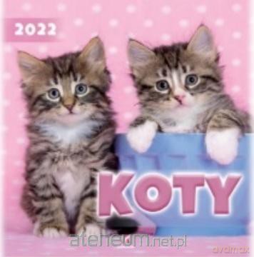 Kalendarz 2022 Ścienny Koty [KALENDARZ]