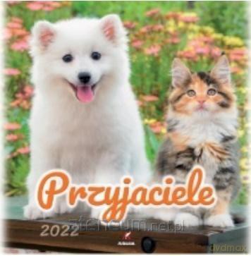 Kalendarz 2022 Ścienny Przyjaciele [KALENDARZ]