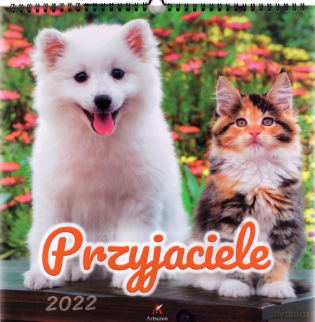 Kalendarz 2022 Ścienny Przyjaciele [KALENDARZ]