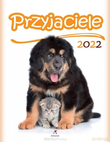 Kalendarz 2022 Ścienny Przyjaciele [KALENDARZ]