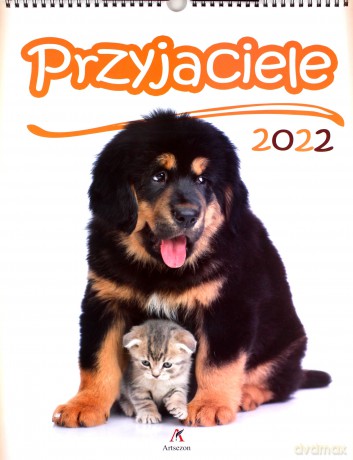 Kalendarz 2022 Ścienny Przyjaciele [KALENDARZ]
