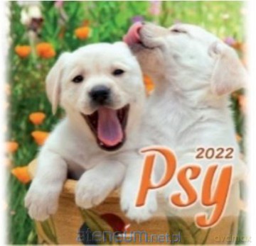 Kalendarz 2022 Ścienny Psy [KALENDARZ]