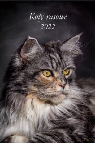 Kalendarz 2022 Ścienny wieloplanszowy Koty rasowe [KALENDARZ]