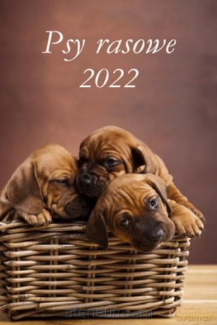 Kalendarz 2022 Ścienny wieloplanszowy Psy rasowe [KALENDARZ]