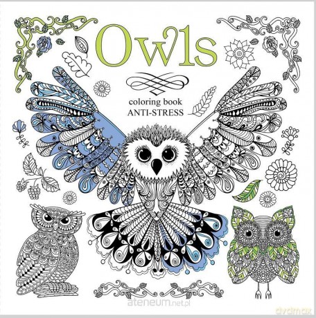 Kolorowanka antystresowa 200x200 12 Owls [KSIĄŻKA]