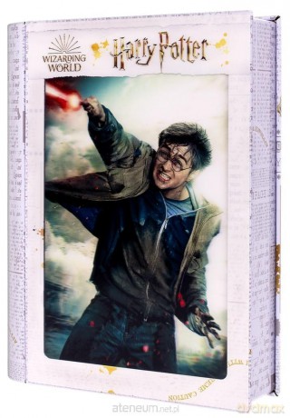 Magiczne puzzle 300 Harry Potter Księga Pojedynek Harry'ego [PUZZLE]