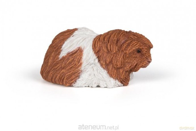 Świnka morska [FIGURKA]