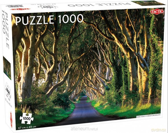 TACTIC 1000 el. Landscape: Hedges in Northern Ireland [PUZZLE]