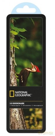 Zakładka 3D National Geographic Dzięcioł