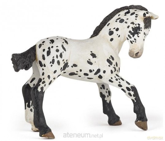 Źrebię Appaloosa [FIGURKA]
