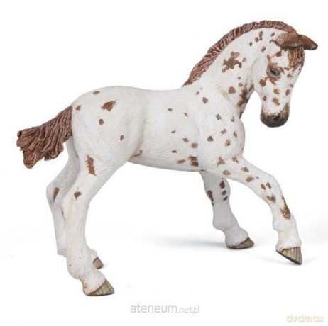 Żrebię Appaloosa [FIGURKA]