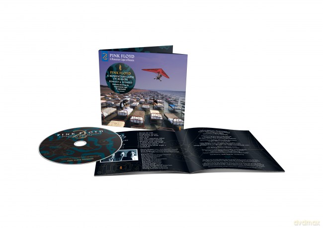 Pink Floyd: A Momentary Lapse Of Reason (digipack) [CD]