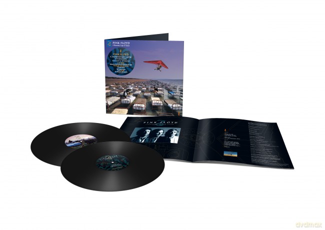 Pink Floyd: A Momentary Lapse Of Reason [2xWinyl]