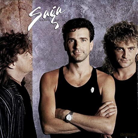Saga: Wildest Dreams (digipack) [CD]