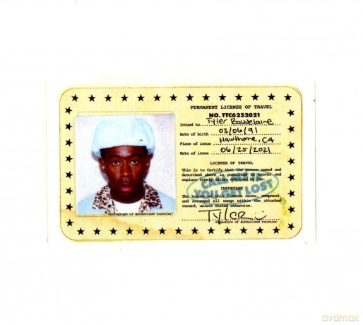 Tyler The Creator: Call Me If You Get Lost [CD]